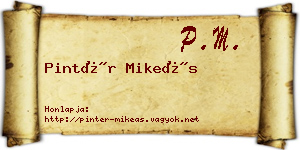 Pintér Mikeás névjegykártya